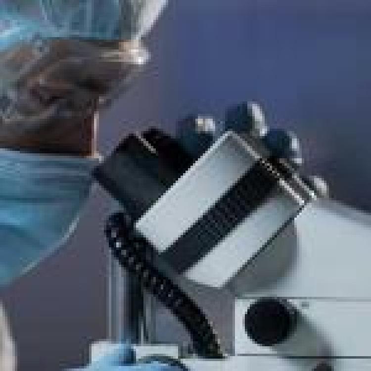Department of Cancer Biology