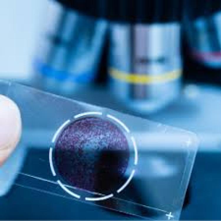 Department of Clinical Pathology