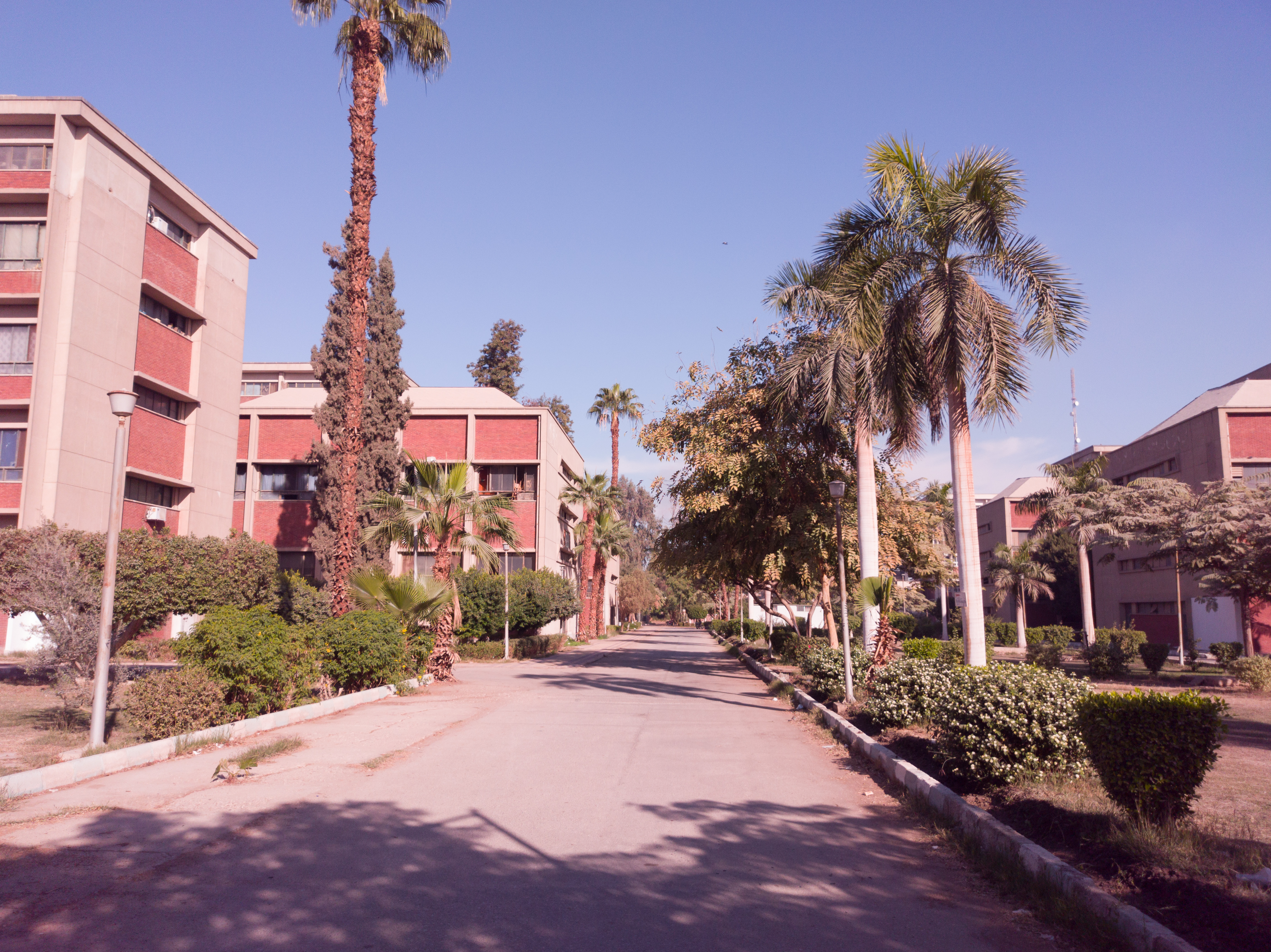 Faculty Of science Library