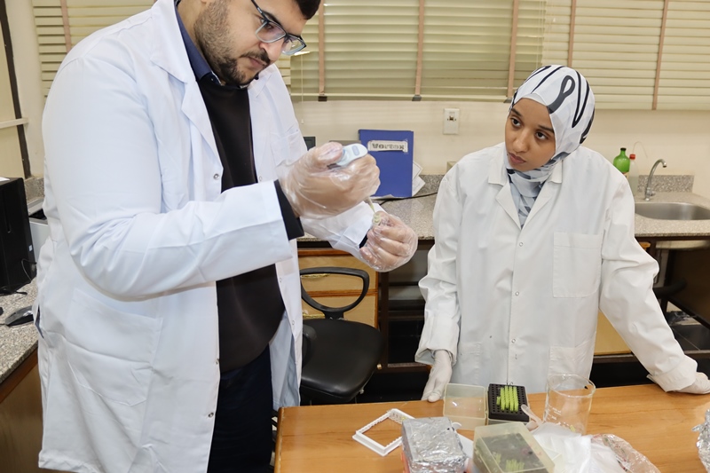بروتين7