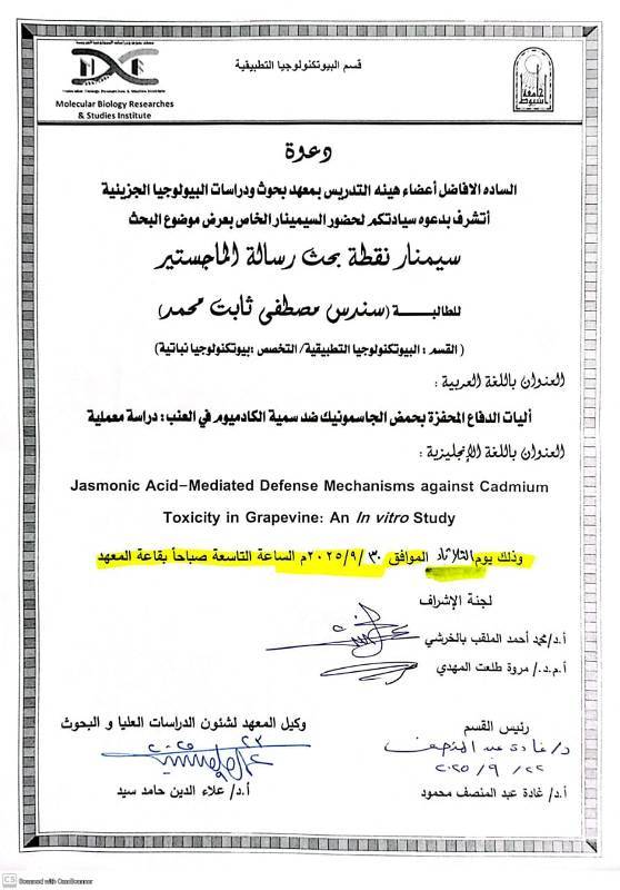 سندس