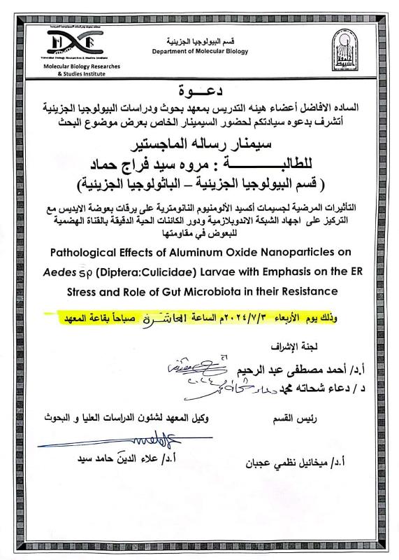 مروة