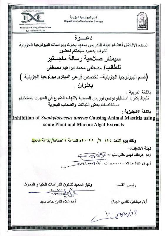 مصطفى