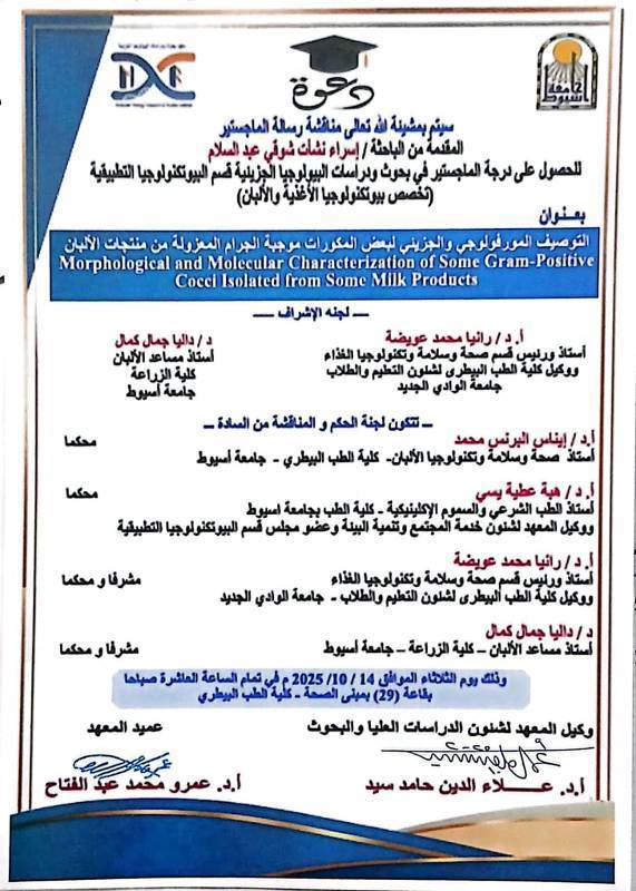 اسراء2