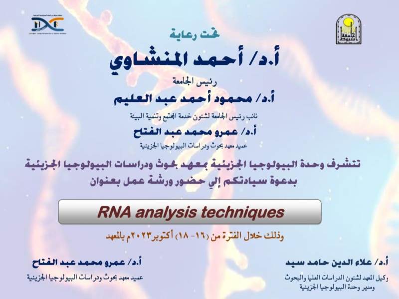RNA22