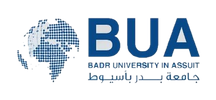 Badr University in Assiut
