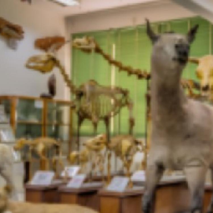 Zoology & Entomology Department
